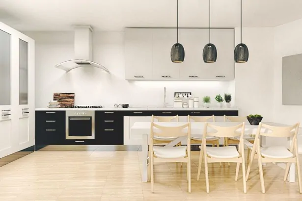black and white modern kitchen design